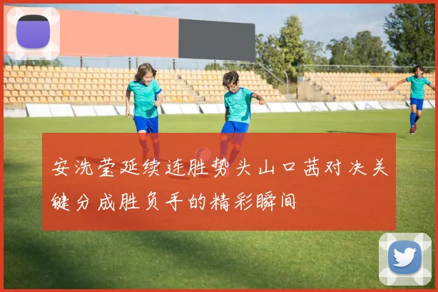 安洗莹延续连胜势头山口茜对决关键分成胜负手的精彩瞬间