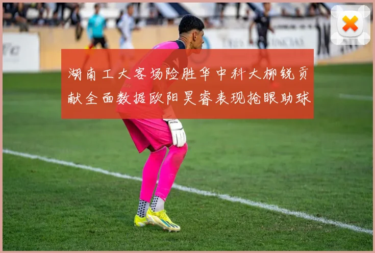 湖南工大客场险胜华中科大柳锐贡献全面数据欧阳昊睿表现抢眼助球队取胜